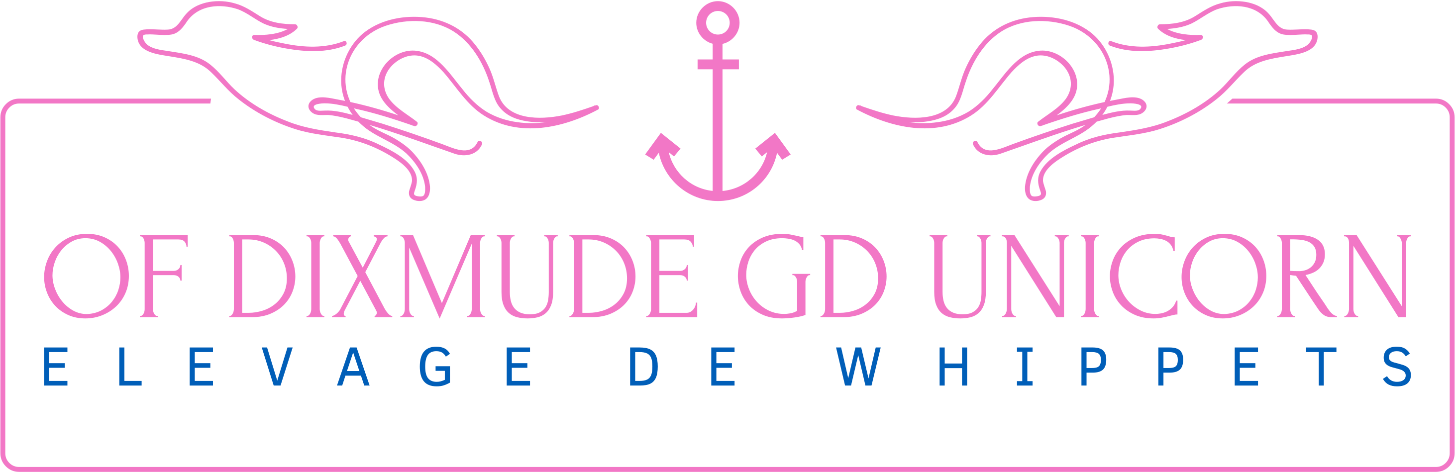 Of Dixmude Gd Unicorn